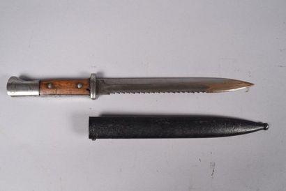 Baïonnette modèle 1884-98 2ème type à dents...