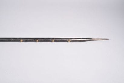 Lance de cavalerie allemande, modèle fer,...
