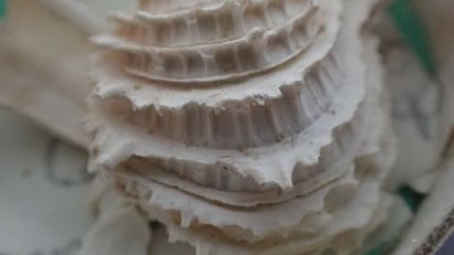 Ensemble comprenant : une paperolle (accidents,...