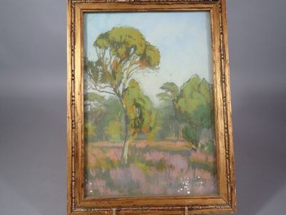 Charles Salomon KOECHLIN (1880-1950), 