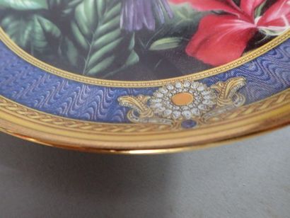 ROYAL DOULTON. Ensemble de 13 assiettes en...