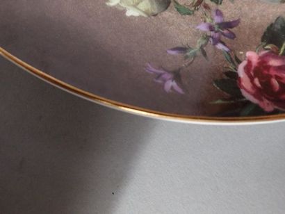 ROYAL DOULTON. Ensemble de 13 assiettes en...