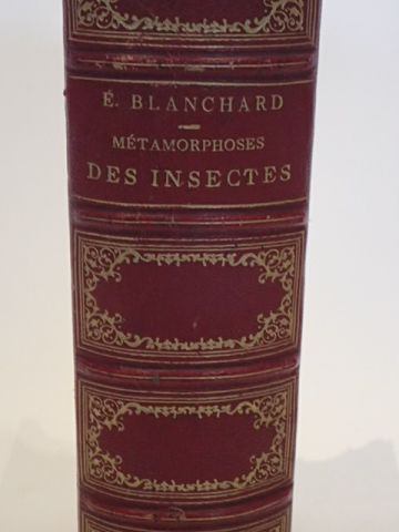 Edouard BLANCHARD. 