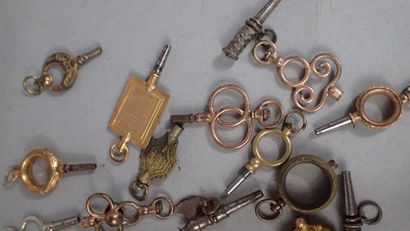 Ensemble de 19 clés de remontage pour montre...