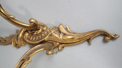 Paire d'appliques en bronze à deux bras de...