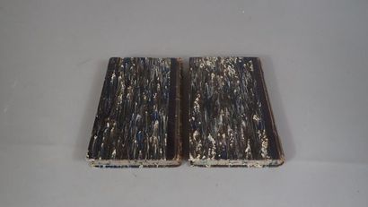 Lot de 2 volumes :
- 