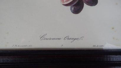 Ensemble de quatre œuvres :
- Vaudescal....