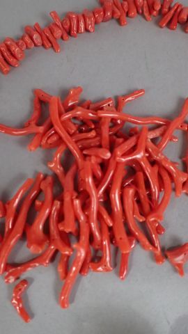 Collier en corail. (Fil cassé)