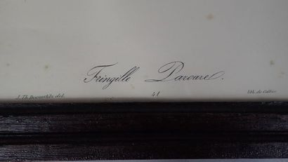 Ensemble de quatre œuvres :
- Vaudescal....
