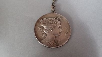 Collier en argent. Pendentif en forme de...