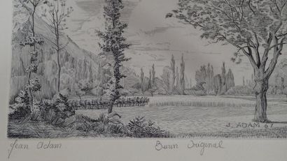 Jean ADAM (XXe siècle), 