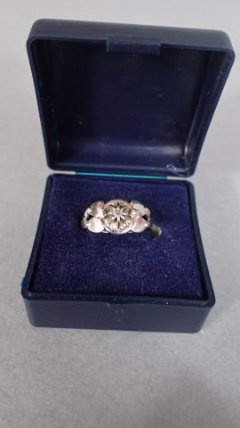 Petite bague en or blanc et platine poinçonné...
