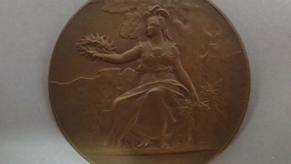 Ensemble de médailles de table : médaille...