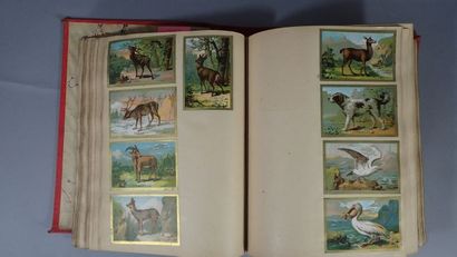 Album de chromolithographies et lithographies...