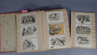 Album de chromolithographies et lithographies...