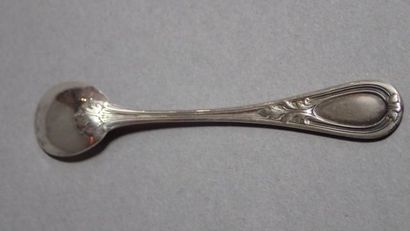 Pelle à sel en argent, modèle baguette à...
