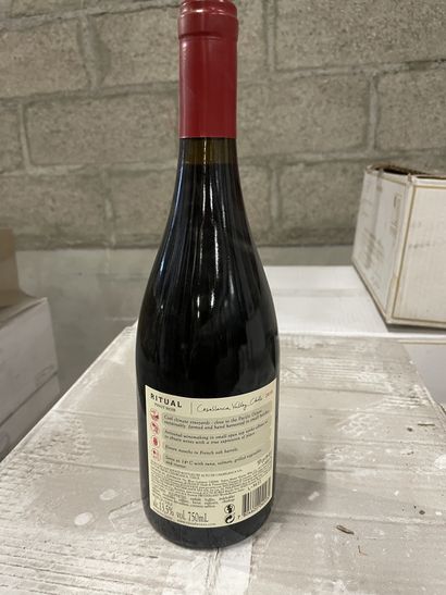 6 bouteilles RITUAL PINOT NOIR 2016 CHILI...