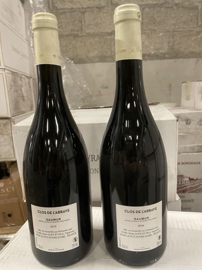 2 bouteilles SAUMUR RGE ABBAYE 2016 AUPY...
