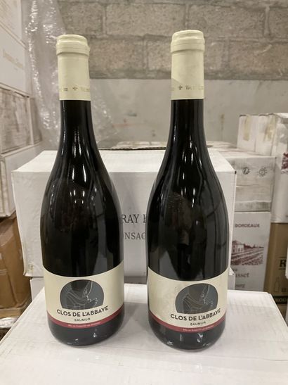 2 bouteilles SAUMUR RGE ABBAYE 2016 AUPY...