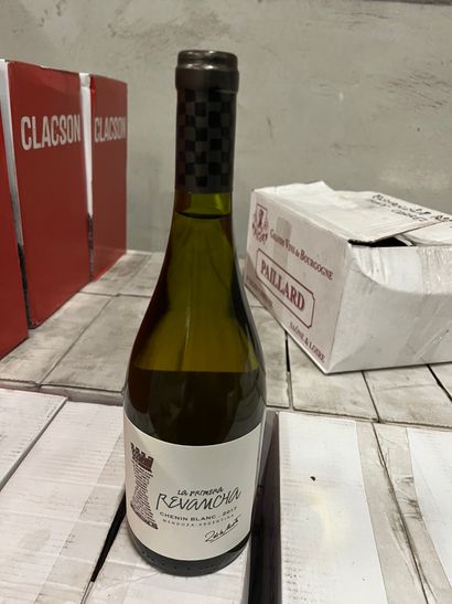 10 bouteilles MENDOZA CHENIN BLANC 2017 ARGENTINE...