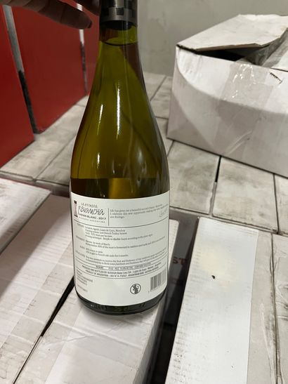 10 bouteilles MENDOZA CHENIN BLANC 2017 ARGENTINE...