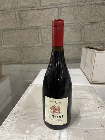 6 bouteilles RITUAL PINOT NOIR 2016 CHILI...