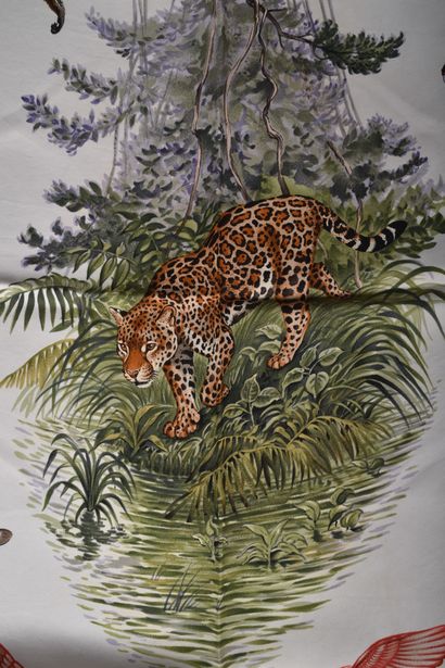 HERMES. Equateur
