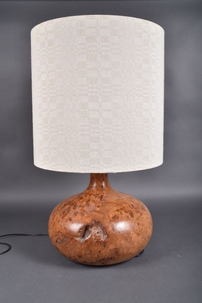 Large elm burl lamp with cylindrical fabric...
