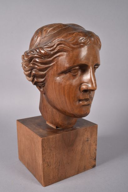 French school circa 1900
Flora Farnese after...
