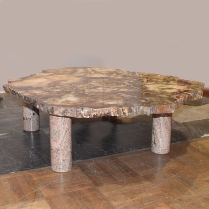 Coffee table with petrified Oregon sequoia...