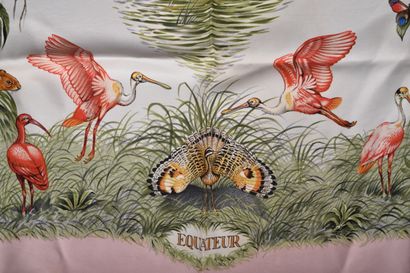 HERMES. Equateur