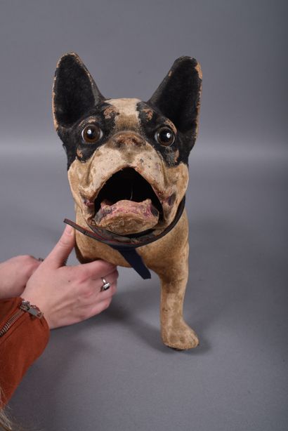 French papier-mâché barking bulldog with...