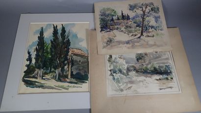 Paul Waendendries (1911-1991), 