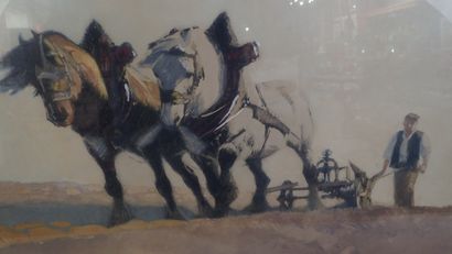 Brun, XXème siècle. 