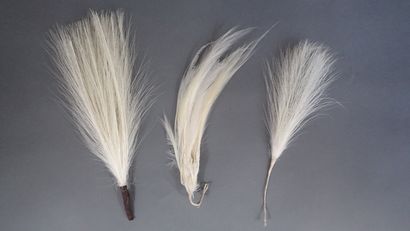 Lot de 7 éventails, XIXème siècle comprenant...