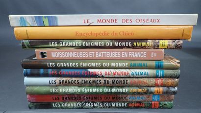 Lot de 10 livres sur les animaux et divers...
