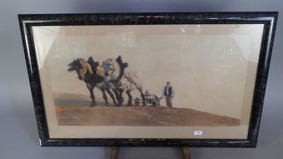 Brun, XXème siècle. 
