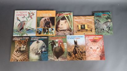 Lot de 10 livres sur les animaux et divers...