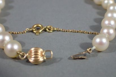 Shocker necklace with 65 white cultured pearls,...