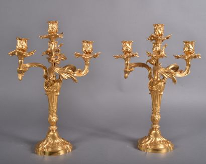 Thiébaut Frères. Pair of large gilt bronze...