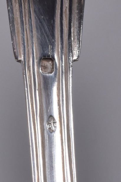 Gaudin Dubray. Silver stew spoon, filets...
