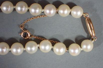 Shocker necklace with 65 white cultured pearls,...