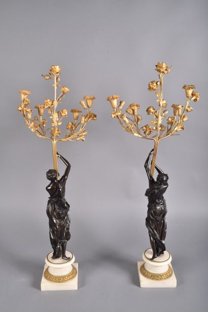 Pair of large candelabras in double patina...