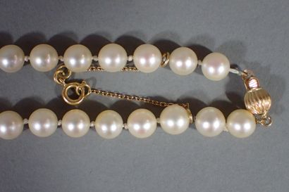 Shocker necklace with 65 white cultured pearls,...