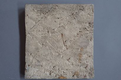 Alexandre BIGOT (1862-1927). Rectangular...