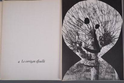 Pablo PICASSO - André VILLERS - Jacques PREVERT....