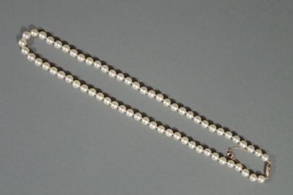 Shocker necklace with 65 white cultured pearls,...