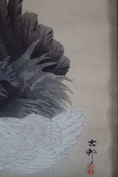 Ohara KOSON (1877-1945). 