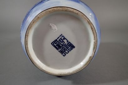 Vietnam, 1st half-mid 20th century
Blue-white...