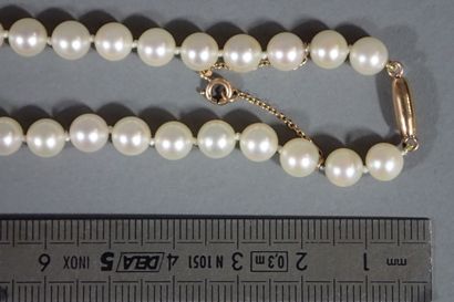 Shocker necklace with 65 white cultured pearls,...